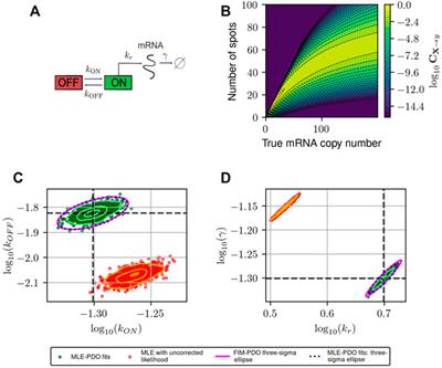 Analysis and design of single-cell experiments to harvest fluctuation information while rejecting measurement noise